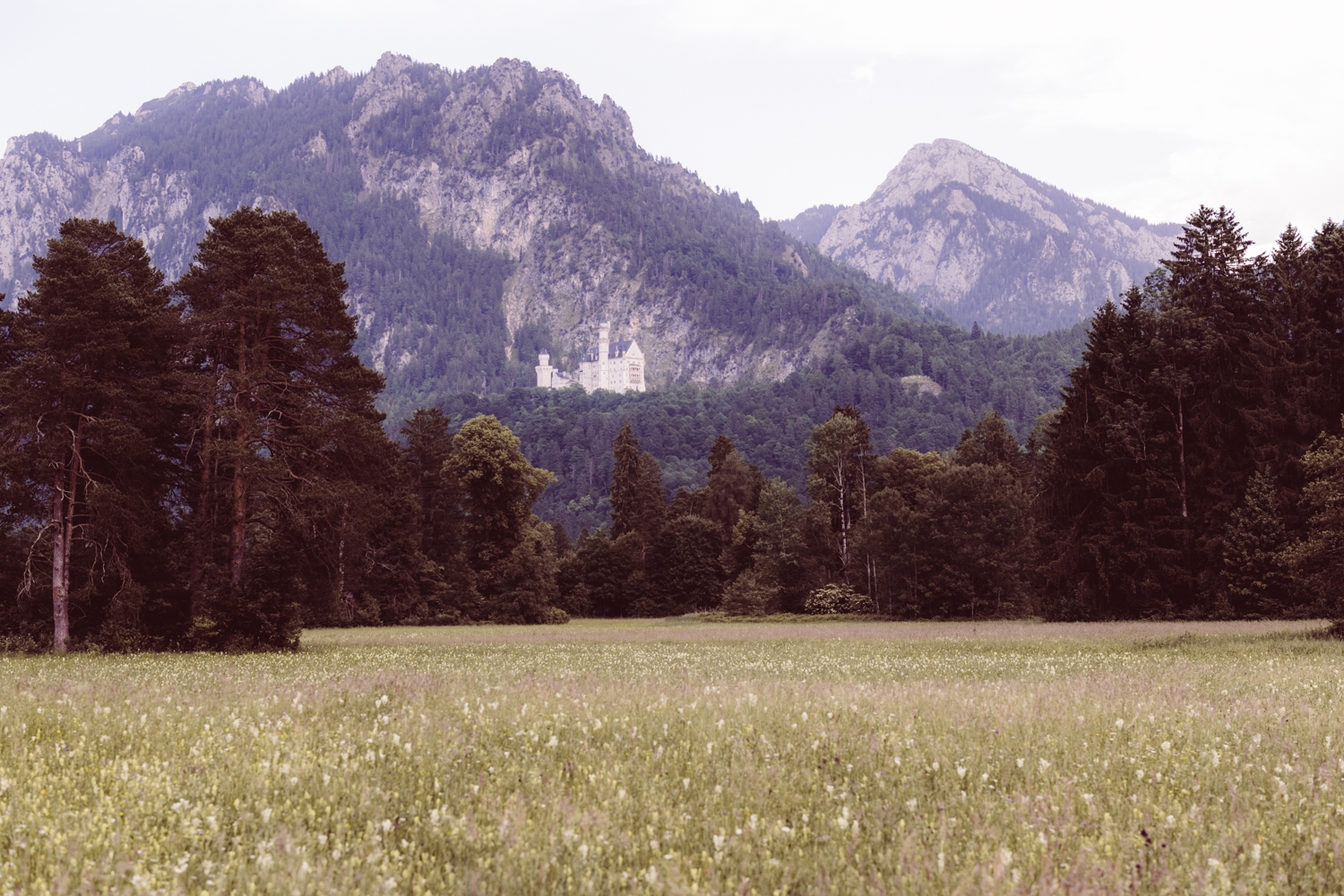 Familien-Fotoshooting-Füssen_23