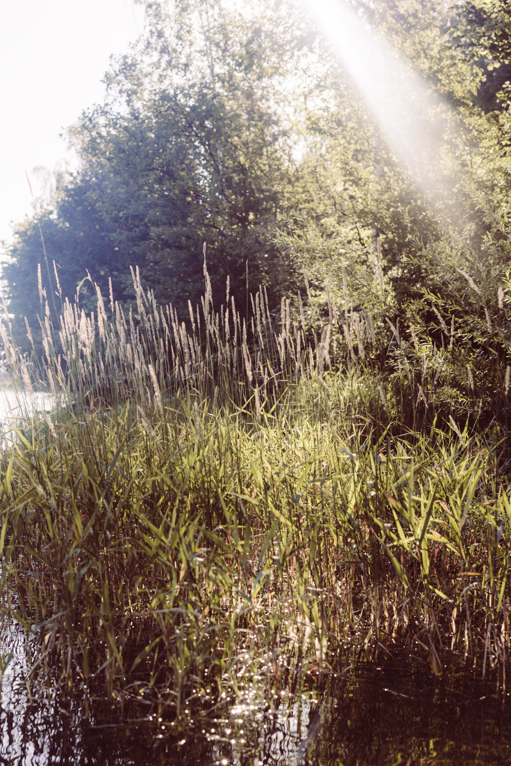 Paarbilder_Forggensee_StandUpPaddle_SUP_Fotoshooting-1